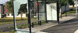 "Det har aldrig hänt i Gamleby förut"