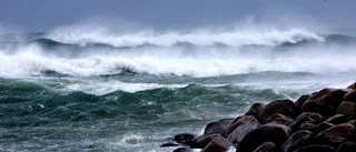 Vind och regn väntar under veckan