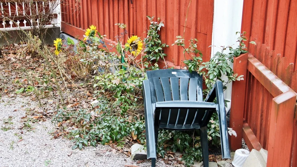 På innergården vid Båtmansstugorna finns saker slängda, plastblommor i rabatten, ris, oklippta buskar och plastpåsar slängda på marken. Foto: Liselotte S Johansson