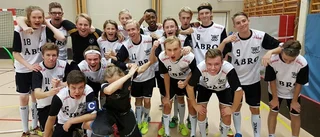 Siktar mot SM-slutspel