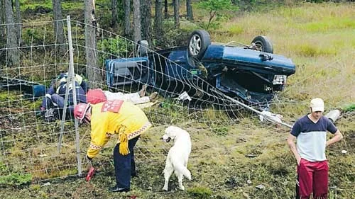 Olycksbilen blev liggande på taket. Här tar ambulanspersonal hand om den skadade föraren medan räddningsledaren Kjell Lundgren tar han om hunden. Foto: Janne Strömsten