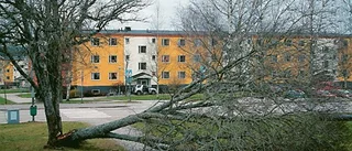 11 000 utan ström i länet