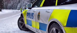 Klarade djuret - men körde av vägen