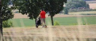 Så påverkas golfbanorna av torkan