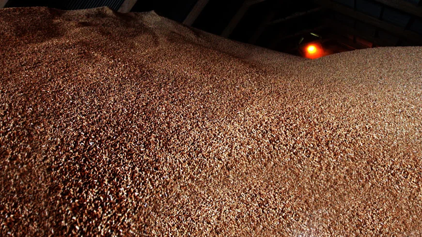 Pellets blir en allt vanligare värmekälla. I östgötska Forsnäs utanför Österbymo tillverkas 90 000 ton pellets om året. Arkivfoto 2006: JAN CHRISTER PERSSON