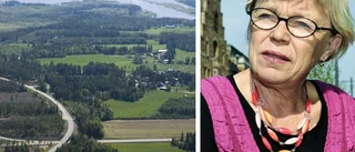 Väckt av inbrottstjuv