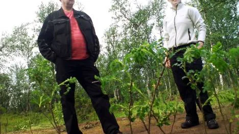 Rosenbuskar planteras som ett nytt inslag i Kyrkoskogen. Peter Lindal och Lisa Kejonen, är kyrkvaktmästare.<_Bildtext Fotobyline>FOTO: HANS STERNLUND</_Bildtext Fotobyline>FOTO: Hans Sternlund