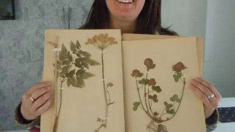 Maria Revholm, Töre, visar upp några blad med torkade växter från 1928 som hon fått.