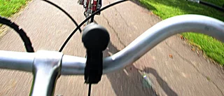 Inget riktigt genomslag för elhoj