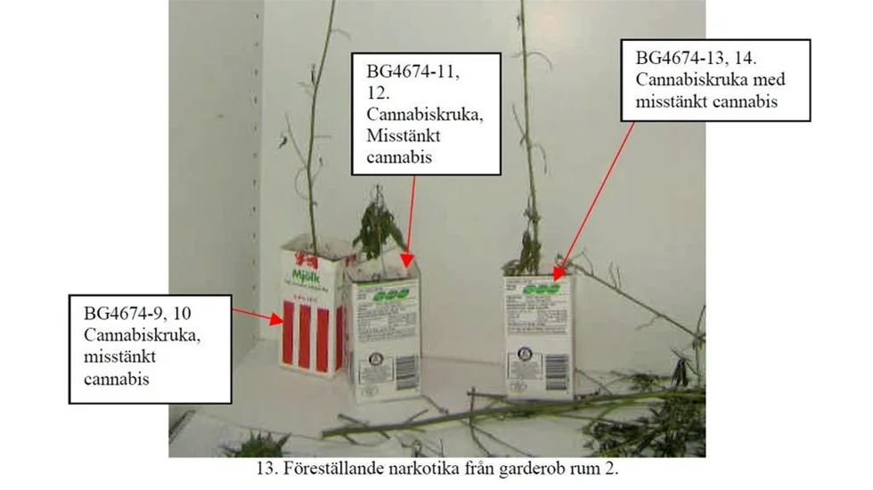 Cannabisodling i Boxholm.