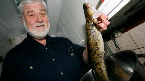 Det här var en av de lakar som fångades under fredagens VM i lakfiske. ?Tyvärr har fångsten minskat under åren, så nu måste  i se över hur vi ska göra med fisketävlingen?, konstaterade Fiskegruppens Lars-Erik Holmlund.