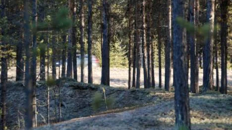 Bevismaterialet som talar för att Carolin Stenvall mördats och som riktar misstankarna mot den 50-årige man som misstänks för dådet, härrör från den så kallade 58:an, en skogsväg som leder till en rastplats belägen endast ett stenkast från E 10. FOTO: Thorvald Burman