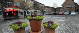 Så vill Mjölbyborna förändra staden