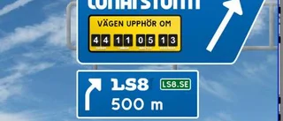 Den mänskliga dödens digitala kvarlåtenskap