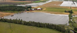 Åkrar vid Tåkern åter våtmark