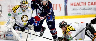 SHL-meriterad back till Hästen