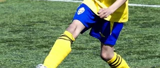 "Sverige kan vinna"