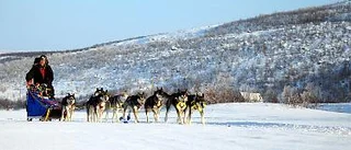 Lugnt och jämnt tempo gav nionde plats i 50-milatävling