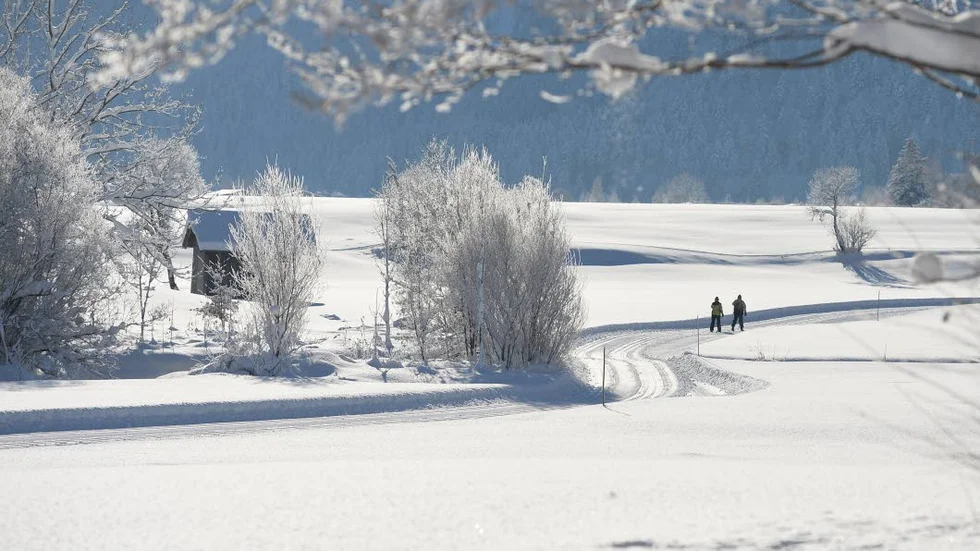 Termometern visar inte så jättemånga minus - men det känns väldigt kallt. Varför?