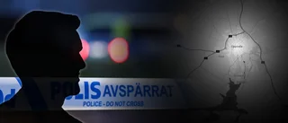 Våldtog två 11-åriga flickor – döms