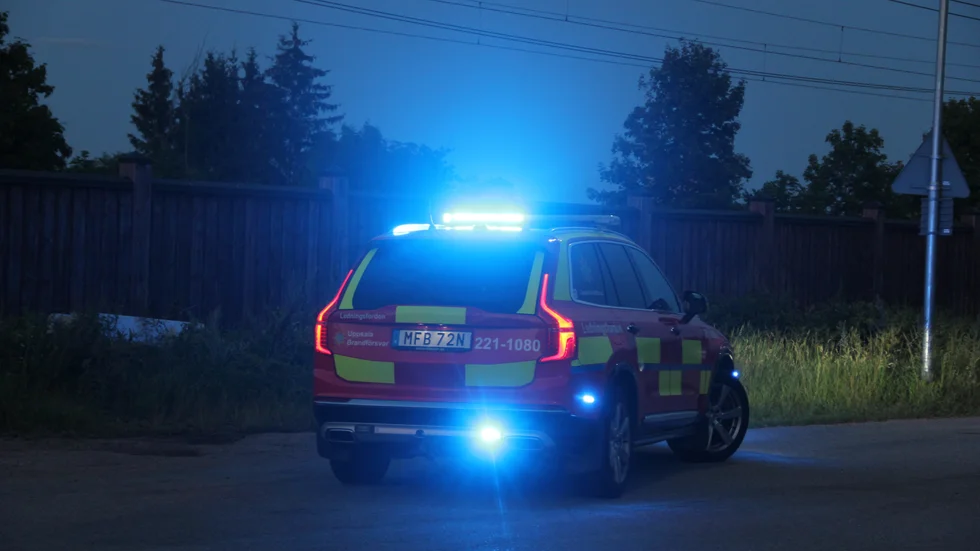 Räddningstjänst fick larm om djurräddning under söndagen. En hund hade fallit från en klippa.
