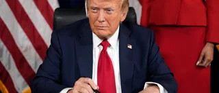 Trump talade med Zelenskyj – lovade krigsslut