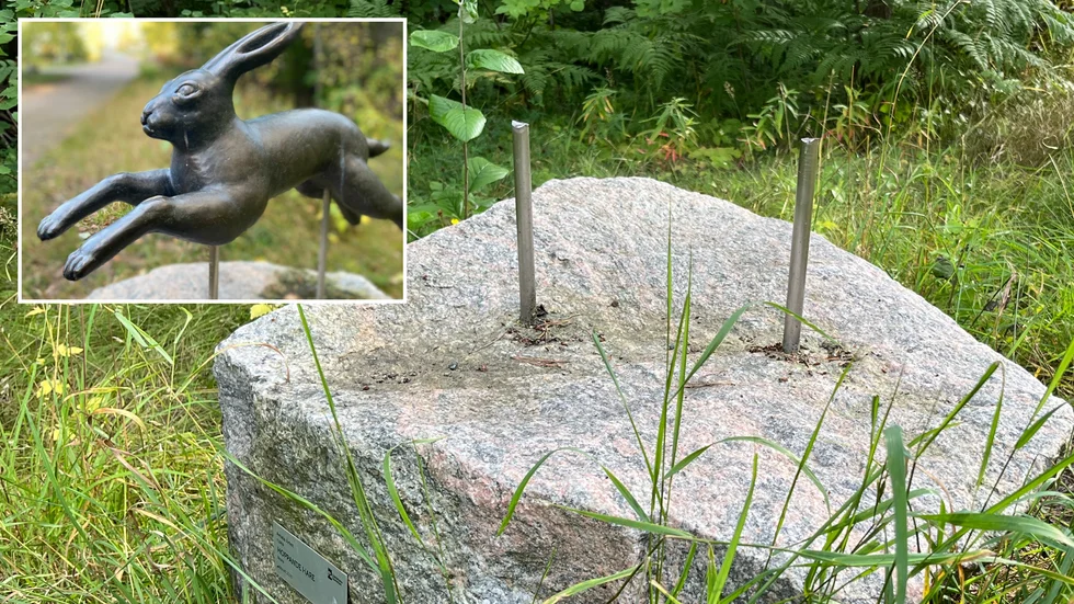Bronsskulpturen "Hoppande hare", skapad av Amalia Årfelt, försvann från sin plats i Kronskogen, men har nu återfunnits.