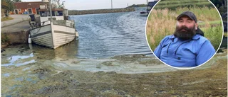 Algblomningen är igång – här ska du undvika att bada just nu