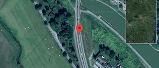 Hund på vägen kan skapa fara på E22