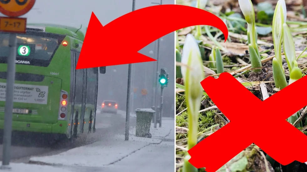 Våren var på ingång, men nu täcks Eskilstuna snart av snö igen.