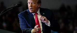 Trump hotade Natoländer med Ryssland