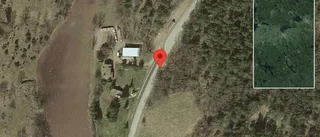 Nedfallna träd påverkar trafiken på väg 918