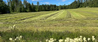 Segdragna marktvisten avgjord – i domstol