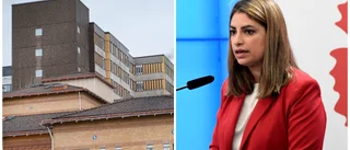 Dadgostar (V): Nedskärningar slår hårt mot Östergötland