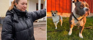 Glädjebeskedet efter stora sökinsatsen: Keyla och Pigge tillbaka