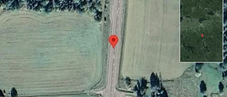 Rådjur på fel sida av viltstängslet på väg 23