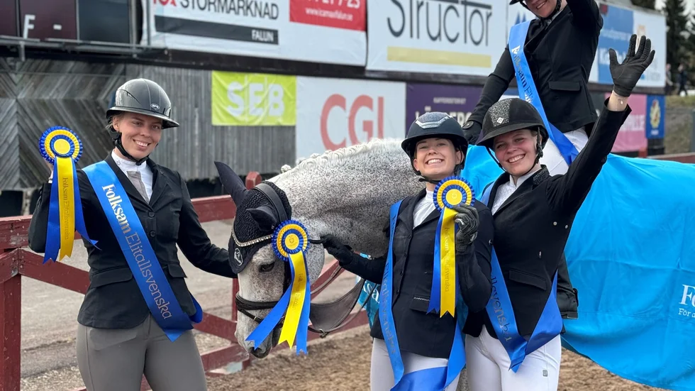 Enorm glädje i Piteå RK på väg hem från Falun. Klubbens elitlag i hoppning är vidare till semifinal i elitallsvenskan. Ellen Lunneborg (på hästen), Wilma Marklund, Nina Backman och Clara Marklund var kvartetten som säkrade biljetten. I laget ingår även Liv Dagertun (hoppade inte i Falun). Ylva Andersson följde med som reserv.