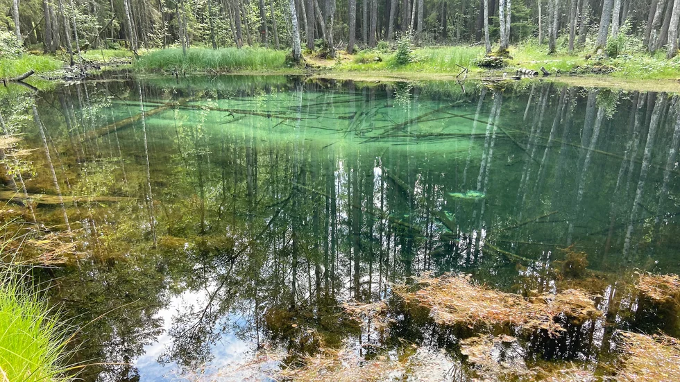 Ingbo källor ligger trolskt inbäddade i skogen vid Ingbo kvarn.