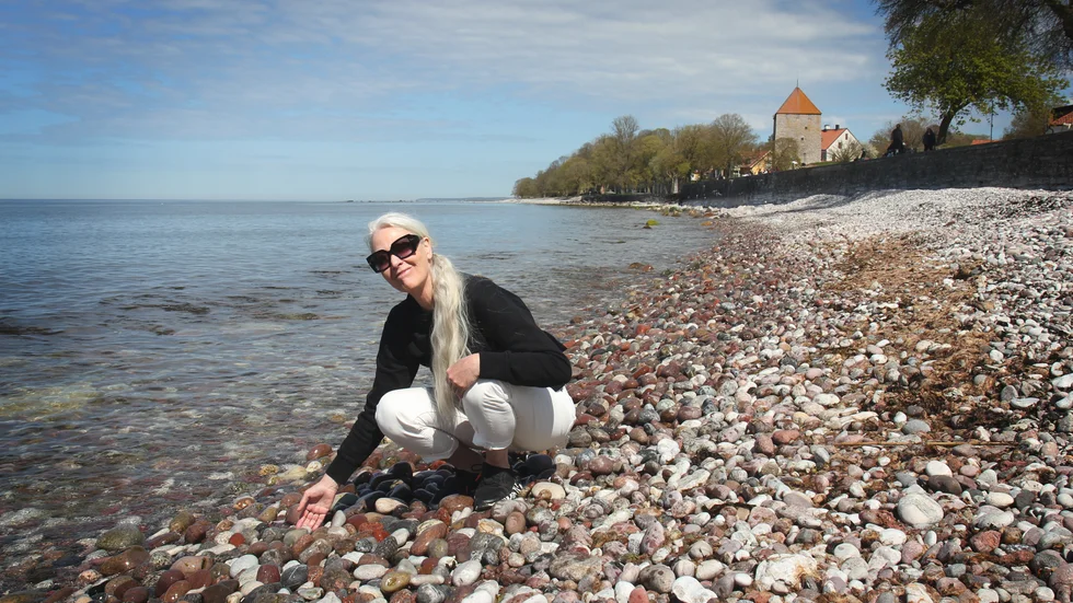Ahnie Gottberg ställer upp i EU-valet för Klimatalliansen. Hon engagerade sig i samband med protesterna i Ojnareskogen, och har efter det deltagit i aktioner om klimat, vatten och skydd av natur.