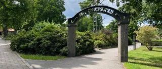 Buskarna i Stadsparken ska kapas – på grund av narkotika