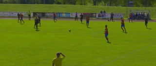 Seger för Bissarna mot Ljungsbro