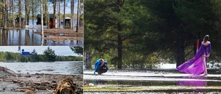 Norrbotten kan andas ut – nu sjunker vattnet i de stora älvarna