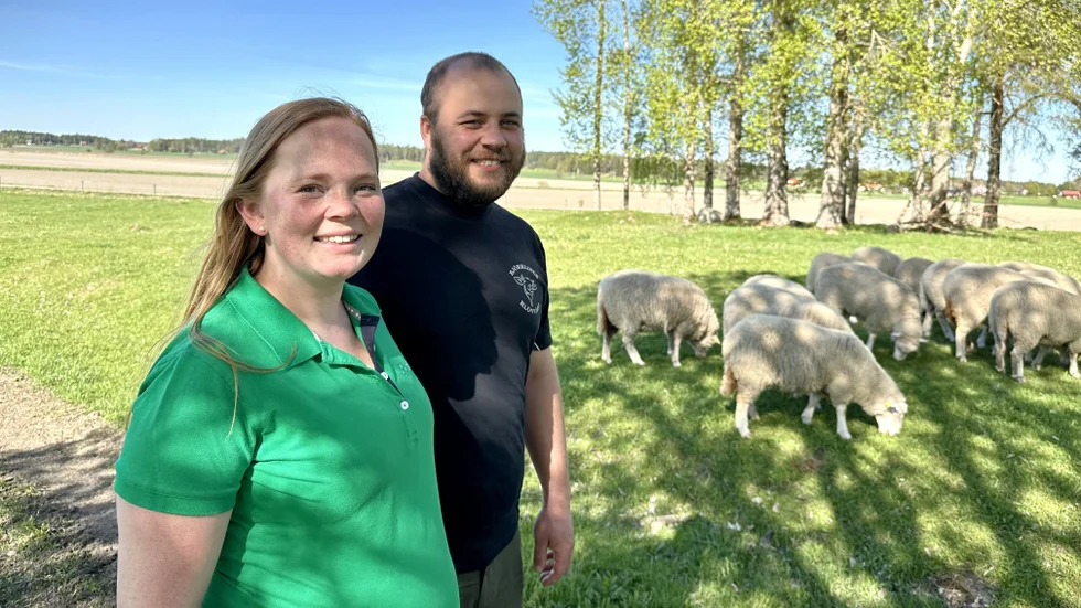 För unga bönderna Lovisa Grandin och Gustaf Björkling i Rasbokil är EU en nödvändighet för att kunna leva sin dröm. "För oss är EU-valet viktigare än riksdagsvalet."