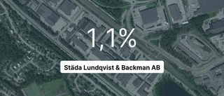 Pilarna pekar nedåt i rapporten från Städa Lundqvist & Backman AB