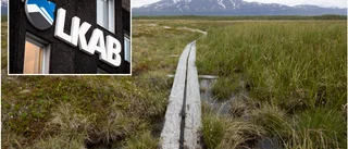 Våtmarker ska återställas med start i höst
