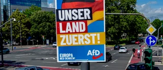 Tyskland vaknar upp efter EU-valet