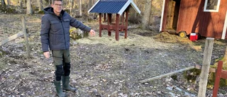 Någon har stulit Kjells alpackor Pelle och Sigge – "hjälp oss"