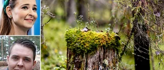 Vi måste sätta gräns för EU:s makt över den svenska skogen