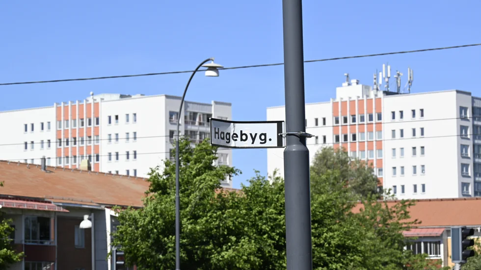 Om vi jobbar på som envisa små blåmesar. Kanske kan vi bygga en säkerhetszon genom att bry oss om varandra och försöka förstå andras perspektiv. En expanderande säkerhetszon rent av! Sedan, ibland, kan vi krypa tätt ihop i sommarnatten och fundera på varför det är som det är. I världen, i Sverige eller i Hageby. 