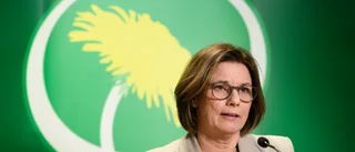 Lövins kritik mot regeringen: "Vilseledande"
